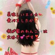 ヒメ日記 2025/08/05 10:30 投稿 えみり みせすはーと