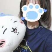 ヒメ日記 2025/02/18 02:32 投稿 ろびん 晴れんち