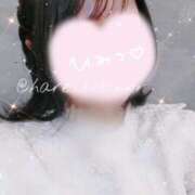 ヒメ日記 2025/02/24 15:22 投稿 ろびん 晴れんち