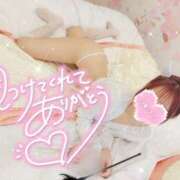 ヒメ日記 2025/03/20 00:12 投稿 ろびん 晴れんち