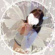 ヒメ日記 2025/05/28 12:52 投稿 ろびん 晴れんち