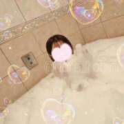 ヒメ日記 2025/05/28 18:22 投稿 ろびん 晴れんち