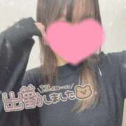 ヒメ日記 2024/12/11 19:14 投稿 のどか 横浜シンデレラ（シンデレラグループ）