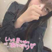 ヒメ日記 2025/03/19 07:17 投稿 のどか 横浜シンデレラ（シンデレラグループ）