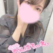 ヒメ日記 2025/03/30 12:38 投稿 のどか 横浜シンデレラ（シンデレラグループ）