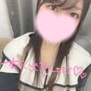 ヒメ日記 2025/04/12 13:03 投稿 のどか 横浜シンデレラ（シンデレラグループ）