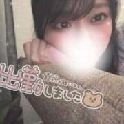 ヒメ日記 2025/06/19 00:27 投稿 のどか 横浜シンデレラ（シンデレラグループ）