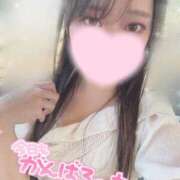 ヒメ日記 2025/06/22 12:39 投稿 のどか 横浜シンデレラ（シンデレラグループ）