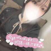 ヒメ日記 2025/11/22 12:36 投稿 のどか 横浜シンデレラ（シンデレラグループ）