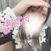 のどか 出勤してます? 横浜シンデレラ（シンデレラグループ）