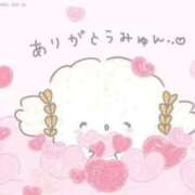 ヒメ日記 2025/08/28 10:37 投稿 まりも 多治見・土岐・春日井ちゃんこ