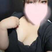 ヒメ日記 2025/11/09 17:59 投稿 まりも 多治見・土岐・春日井ちゃんこ