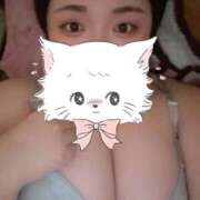 ヒメ日記 2026/02/26 12:49 投稿 まりも 多治見・土岐・春日井ちゃんこ