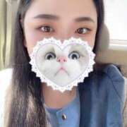 ヒメ日記 2026/03/28 12:19 投稿 まりも 多治見・土岐・春日井ちゃんこ