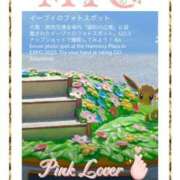 ヒメ日記 2025/11/29 03:37 投稿 みお 熟女家 堺東店