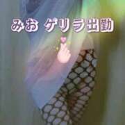 みお みお💕今夜ゲリラ出勤します💕 熟女家 堺東店