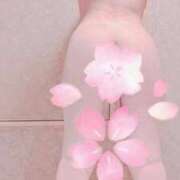 ヒメ日記 2025/04/08 11:01 投稿 新田(にった)奥様 新潟人妻デリバリーヘルス下心