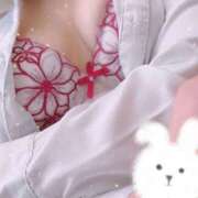 ヒメ日記 2025/05/10 20:30 投稿 新田(にった)奥様 新潟人妻デリバリーヘルス下心