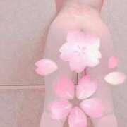 ヒメ日記 2025/05/22 20:30 投稿 新田(にった)奥様 新潟人妻デリバリーヘルス下心