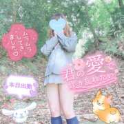 ヒメ日記 2025/04/12 10:33 投稿 三城(みき)奥様 新潟人妻デリバリーヘルス下心