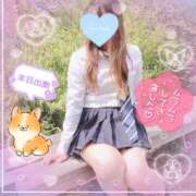 ヒメ日記 2025/05/06 18:03 投稿 三城(みき)奥様 新潟人妻デリバリーヘルス下心