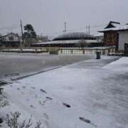 ヒメ日記 2025/03/19 10:22 投稿 まり エマニエル