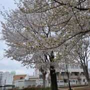 ヒメ日記 2025/04/01 18:32 投稿 まり エマニエル