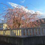 ヒメ日記 2025/04/09 13:00 投稿 まり エマニエル