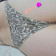 ヒメ日記 2025/05/03 08:42 投稿 まり エマニエル