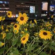 ヒメ日記 2025/07/10 21:02 投稿 まり エマニエル