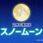 ヒメ日記 2026/02/02 16:02 投稿 まり エマニエル