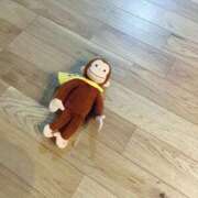 ヒメ日記 2024/12/17 17:15 投稿 みさき モアグループ春日部人妻城