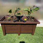 ヒメ日記 2025/05/08 16:24 投稿 みさき モアグループ春日部人妻城