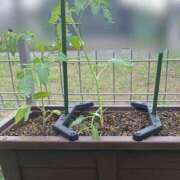 ヒメ日記 2025/05/13 10:09 投稿 みさき モアグループ春日部人妻城