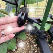 ヒメ日記 2025/05/23 17:03 投稿 みさき モアグループ春日部人妻城