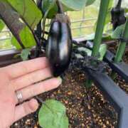 ヒメ日記 2025/05/28 20:42 投稿 みさき モアグループ春日部人妻城