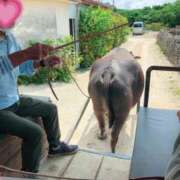 ヒメ日記 2025/06/01 10:03 投稿 みさき モアグループ春日部人妻城