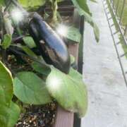 ヒメ日記 2025/06/06 13:18 投稿 みさき モアグループ春日部人妻城