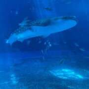 ヒメ日記 2025/06/18 14:18 投稿 みさき モアグループ春日部人妻城