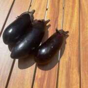 ヒメ日記 2025/06/21 19:21 投稿 みさき モアグループ春日部人妻城