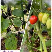 ヒメ日記 2025/07/04 19:06 投稿 みさき モアグループ春日部人妻城