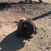 ヒメ日記 2025/12/01 18:48 投稿 みさき モアグループ春日部人妻城