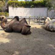 みさき 風が寒い モアグループ春日部人妻城