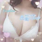 ヒメ日記 2024/12/10 12:08 投稿 ふみか かりんとplus　上野御徒町