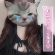 ヒメ日記 2025/05/15 10:54 投稿 ふみか かりんとplus　上野御徒町