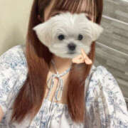 ヒメ日記 2025/06/20 16:37 投稿 ふみか かりんとplus　上野御徒町