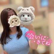 ヒメ日記 2025/10/04 12:15 投稿 ふみか かりんとplus　上野御徒町