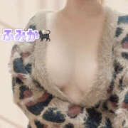 ヒメ日記 2025/10/22 10:45 投稿 ふみか かりんとplus　上野御徒町