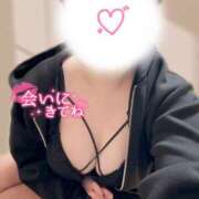 ヒメ日記 2025/11/10 13:44 投稿 ふみか かりんとplus　上野御徒町