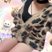 ヒメ日記 2025/11/26 10:55 投稿 ふみか かりんとplus　上野御徒町